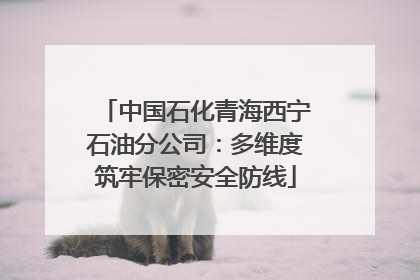 中国石化青海西宁石油分公司：多维度筑牢保密安全防线