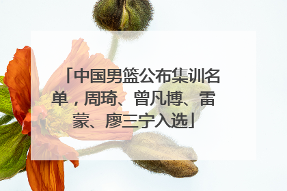 中国男篮公布集训名单，周琦、曾凡博、雷蒙、廖三宁入选