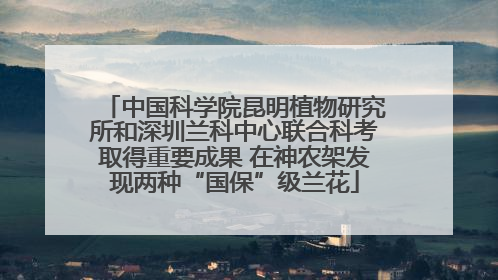 中国科学院昆明植物研究所和深圳兰科中心联合科考取得重要成果 在神农架发现两种“国保”级兰花