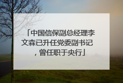 中国信保副总经理李文森已升任党委副书记，曾任职于央行