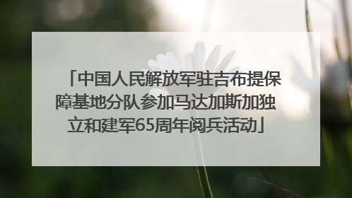 中国人民解放军驻吉布提保障基地分队参加马达加斯加独立和建军65周年阅兵活动