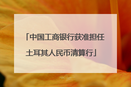 中国工商银行获准担任土耳其人民币清算行