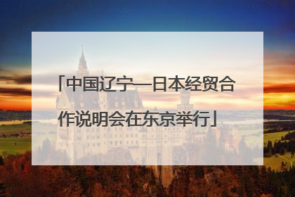 中国辽宁—日本经贸合作说明会在东京举行