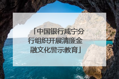 中国银行咸宁分行组织开展清廉金融文化警示教育