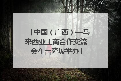 中国（广西）—马来西亚工商合作交流会在吉隆坡举办