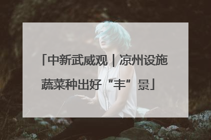中新武威观｜凉州设施蔬菜种出好“丰”景