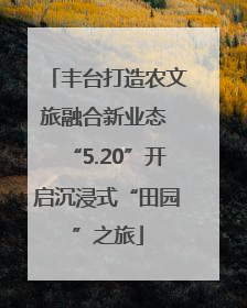 丰台打造农文旅融合新业态 “5.20”开启沉浸式“田园”之旅