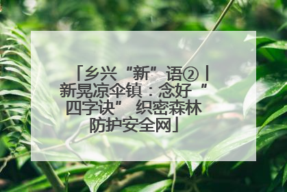 乡兴“新”语②丨新晃凉伞镇：念好“四字诀” 织密森林防护安全网