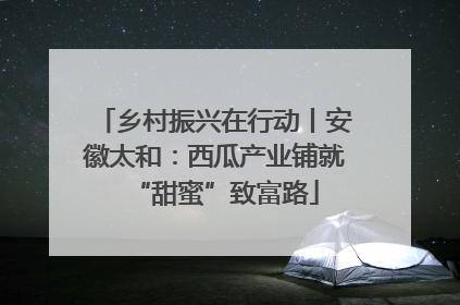 乡村振兴在行动丨安徽太和：西瓜产业铺就“甜蜜”致富路