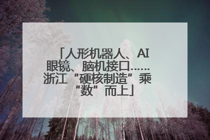 人形机器人、AI眼镜、脑机接口……浙江“硬核制造”乘“数”而上