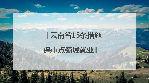 云南省15条措施保重点领域就业