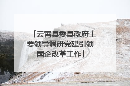 云霄县委县政府主要领导调研党建引领国企改革工作