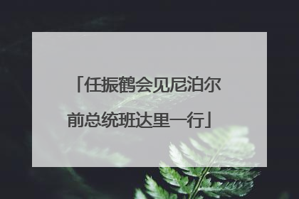 任振鹤会见尼泊尔前总统班达里一行