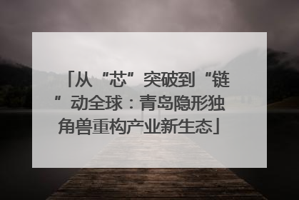 从“芯”突破到“链”动全球：青岛隐形独角兽重构产业新生态