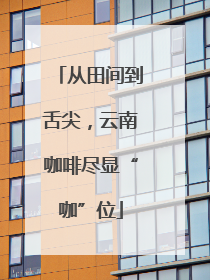 从田间到舌尖，云南咖啡尽显“咖”位