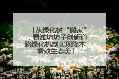 从绿化树“搬家”，看潍坊坊子创新道路绿化机制实现降本增效生态美