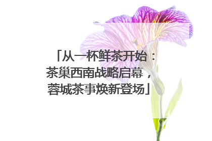 从一杯鲜茶开始：茶巢西南战略启幕，蓉城茶事焕新登场