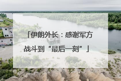 伊朗外长：感谢军方战斗到“最后一刻”