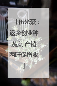 伍光豪：返乡创业种蔬菜 产销两旺促增收