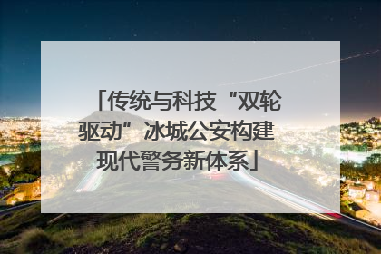 传统与科技“双轮驱动”冰城公安构建现代警务新体系