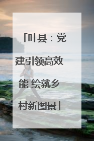 叶县：党建引领高效能 绘就乡村新图景