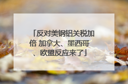 反对美钢铝关税加倍 加拿大、墨西哥、欧盟反应来了