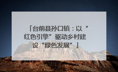 台前县孙口镇：以“红色引擎”驱动乡村建设“绿色发展”