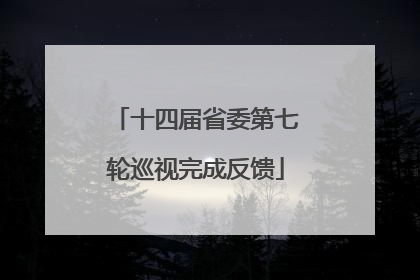 十四届省委第七轮巡视完成反馈