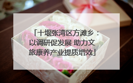 十堰张湾区方滩乡：以调研促发展 助力文旅康养产业提质增效