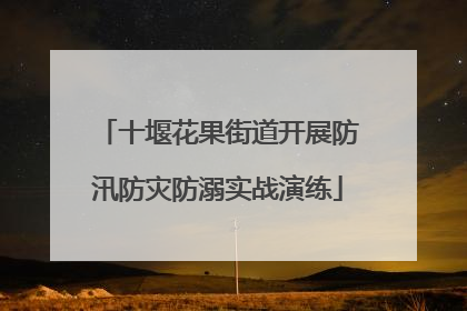 十堰花果街道开展防汛防灾防溺实战演练