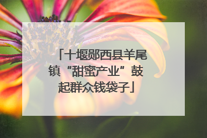十堰郧西县羊尾镇“甜蜜产业”鼓起群众钱袋子