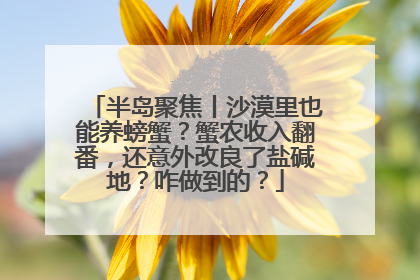 半岛聚焦丨沙漠里也能养螃蟹？蟹农收入翻番，还意外改良了盐碱地？咋做到的？