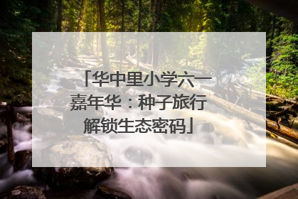华中里小学六一嘉年华：种子旅行解锁生态密码