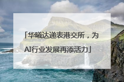 华曦达递表港交所，为AI行业发展再添活力