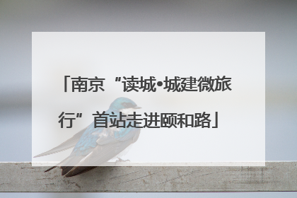 南京“读城•城建微旅行”首站走进颐和路