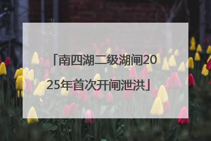 南四湖二级湖闸2025年首次开闸泄洪