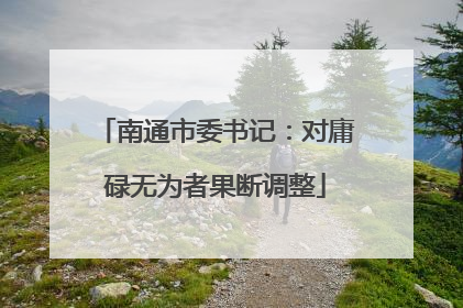 南通市委书记：对庸碌无为者果断调整