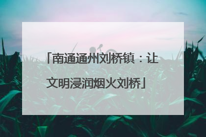 南通通州刘桥镇：让文明浸润烟火刘桥
