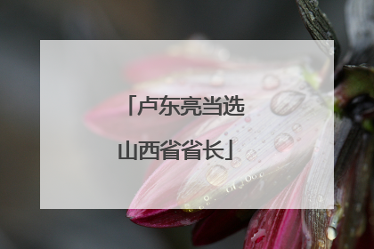 卢东亮当选山西省省长