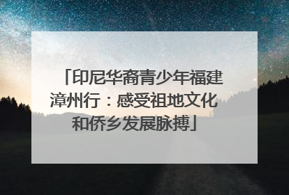 印尼华裔青少年福建漳州行：感受祖地文化和侨乡发展脉搏