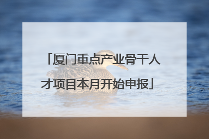 厦门重点产业骨干人才项目本月开始申报