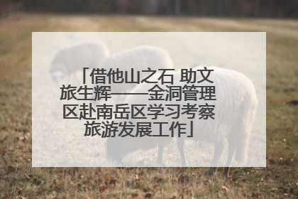 借他山之石 助文旅生辉——金洞管理区赴南岳区学习考察旅游发展工作