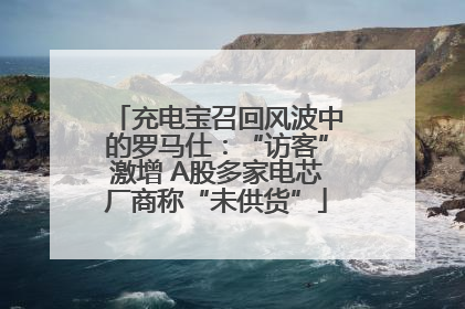 充电宝召回风波中的罗马仕：“访客”激增 A股多家电芯厂商称“未供货”