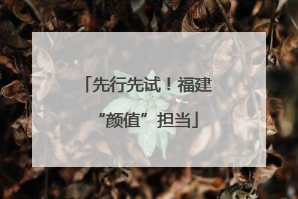 先行先试！福建“颜值”担当