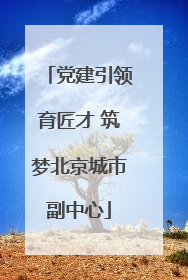 党建引领育匠才 筑梦北京城市副中心