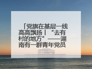 党旗在基层一线高高飘扬丨“去有村的地方”——湖南有一群青年党员这样选择