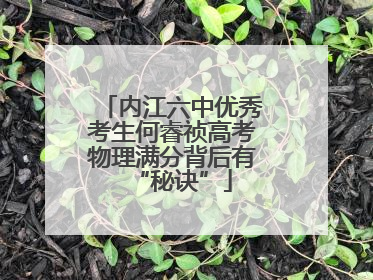 内江六中优秀考生何睿祯高考物理满分背后有“秘诀”