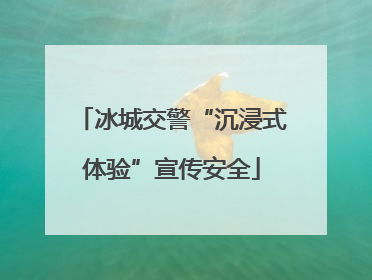 冰城交警“沉浸式体验”宣传安全
