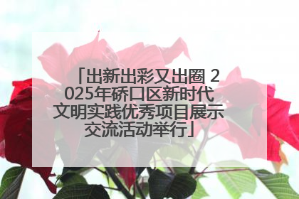出新出彩又出圈 2025年硚口区新时代文明实践优秀项目展示交流活动举行