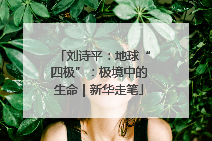 刘诗平：地球“四极”：极境中的生命｜新华走笔